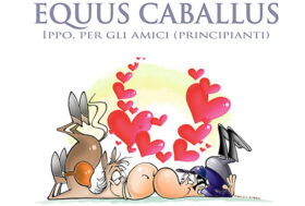 Equus caballus. Ippo, per gli amici (principianti)