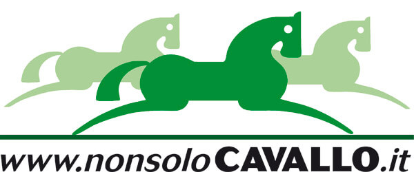 Il Portale del Cavallo Il Portale del Cavallo