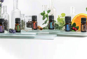 OGGI!! Ore 14:30. Videoconferenza GRATUITA. Oli Essenziali per il CAVALLO. Quando e come usarli.