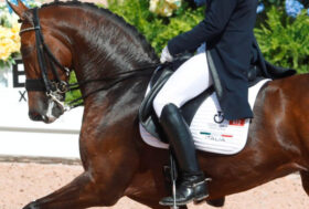 Dressage: Appuntamento internazionale a Ornago