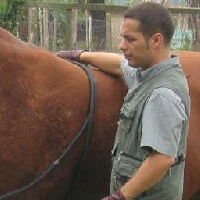 Francesco De Giorgio