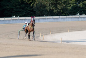 Cavalli in pista mercoledì a Vinovo, occhio ai puledri