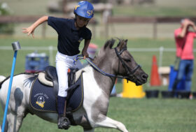 Finale Coppa Italia Club e Campionato Italiano Mounted Games Individuale, il programma è online