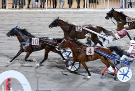 Cesena Trotto: resoconto Premio Miss Mamma Italiana