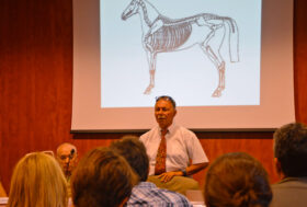 L’intervento del Dott. Piermario Giongo della Scuola Equestre di San Siro ai corsi che si sono tenuti presso la Fiera di Sant’Alessandro a Bergamo sul benessere del cavallo e mascalcia organizzati da Il Portale del Cavallo