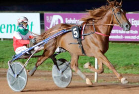 Valzer di poggio il cavallo trottatore italiano nuovo protagonista nel mondo ippico