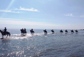 BRILLANTE SUCCESSO DEL 6° MEMORIAL EQUESTRE ROCCA NEL CUORE