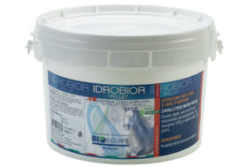 Dalla BioEquipe, Idrobior la perfetta fitoterapia per la disidratazione