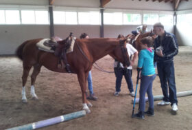 AL VIA IL NATALE SOLIDALE DI MONSERENO NO LIMITS ONLUS