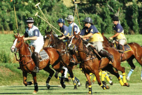 Il Polo: sport elitario o potenziale attrazione?