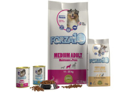 Da Forza 10 Maintenance: la perfetta alternativa alla dieta casalinga