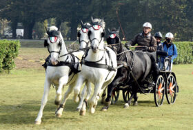 Trofeo GIA: Gran Finale!