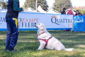 Il mondo del PET torna a incontrarsi in presenza, a Bolognafiere
