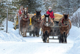 In carrozza si parte, sognando su una slitta!