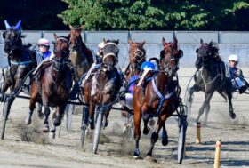 Ippodromo di Vinovo ­ 9 Maggio, il trotto si gemella con il Giro d’Italia
