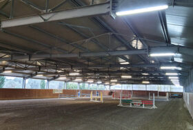 FISE Toscana guarda al futuro dell’equitazione e punta sui giovani cavalli