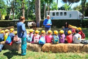 Voce del verbo Equimparare, una iniziativa Fise – Miur