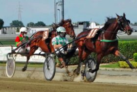 IPPODROMO DI VINOVO ­ 13 GIUGNO, ULTIMO APPUNTAMENTO CON LE CORSE POMERIDIANE PRIMA DEL PRESERALE