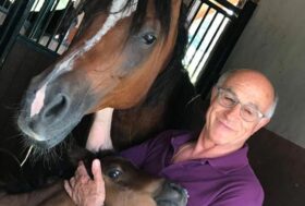 Il cavallo come “pillola” contro il disagio giovanile.