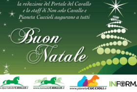 Auguri da tutta la redazione!