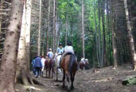 Tradizionale gita di fine anno per i ragazzi dell’attività sportiva del Centro di Riabilitazione Equestre Vittorio Di Capua