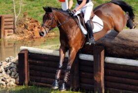 Azzurri a segno a Ravenna