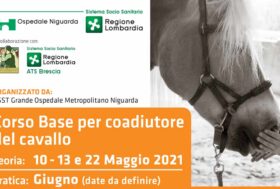 L’ASST Grande Ospedale Metropolitano Niguarda di Milano, organizza: Corso Base per coadiutore del cavallo
