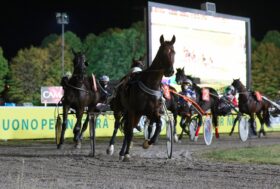 Ippodromo Cesena Trotto: presentazione delle corse di sabato 10 luglio 2021 – Premio Club Ippodromo