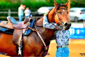 Special Event Di Sperlonga 2021 + Recupero Juvenile e Futurity 2020