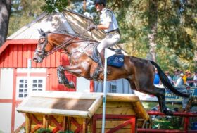 Ugolotti vince ad Alnwick. Bene Luciani in Polonia