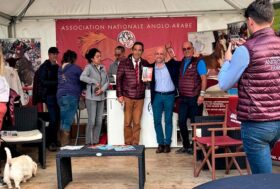 Gli Anglo Arabi Sardi svettano in Francia