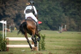 Grandis vince a Langenhagen