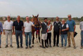 59° Premio Regionale Sardo di allevamento equino: il campione è Cloes, allevata da Raffaele Mulas