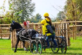 Assegnate le medaglie dei Campionati Italiani Completo Attacchi
