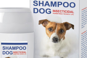 Per tutti arriva prima o poi il momento del bagnetto. E se ci fossero i parassiti?