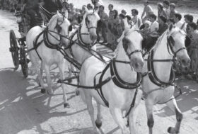 Attacchi: Il Barone Albert Moyersoen, Socio Fondatore e Socio Onorario del Gruppo Italiano Attacchi…