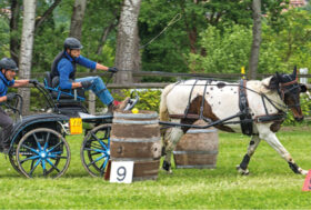 Attacchi: Voglia di ricominciare