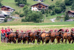 Attacchi: Grande dimostrazione di guida