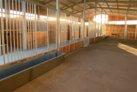 Dalla Nord Piave un nuova linea di box, per il contatto visivo costante tra cavalli