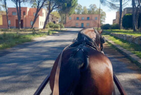 Attacchi: Gita in Solitaria