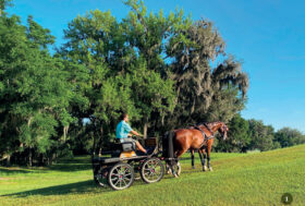 Attacchi: Pratica corretta, risultato perfetto!