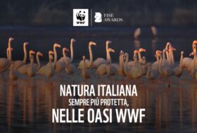 FISE Awards: l’edizione 2022 con WWF
