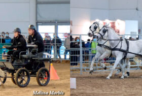 Attacchi Sportivi alla Fiera