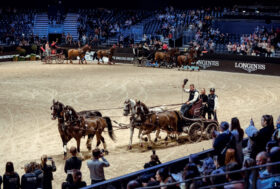 Attacchi: Ritorna l’emozione della Coppa del Mondo Indoor