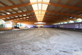 Monsereno Horses, Aziende in Primo Piano sul Portale del Cavallo