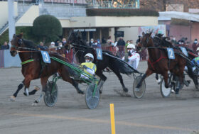 Ippodromo di Bologna: giovedì grandi protagonisti si sfidano nel nome di proprietari bolognesi e dei loro campioni – “Premio Cocco Bfc”