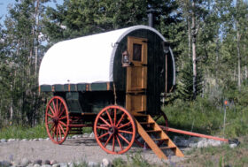 Attacchi: Smart-Working nel verde