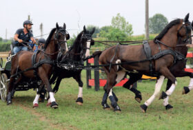 Attacchi: Era un sogno nel cassetto…