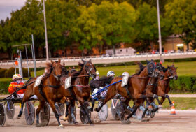 Ippodromo Arcoveggio Bologna: presentazione delle corse di giovedì 5 maggio