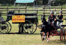 Largo ai Giovanissimi!